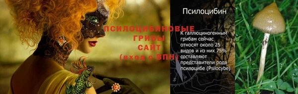 эйфоретик Алексеевка