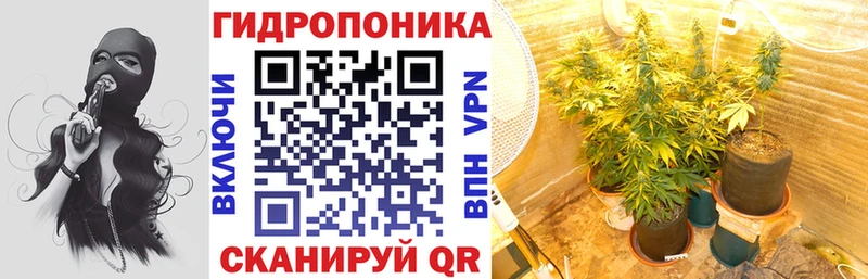 Бошки Шишки THC 21%  Биробиджан 